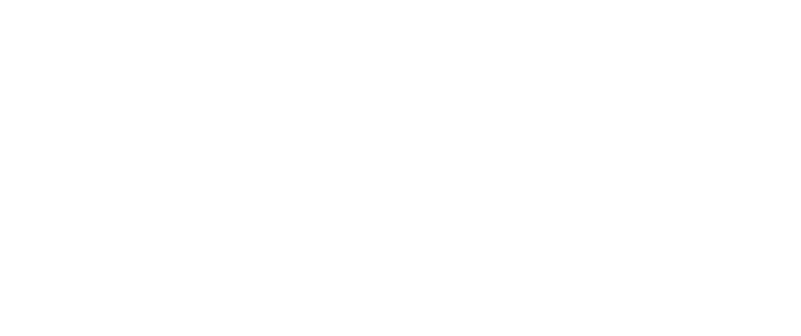 Finance-Solution-Logo-New-White (1)